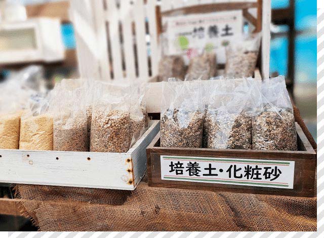 多肉植物の土の写真