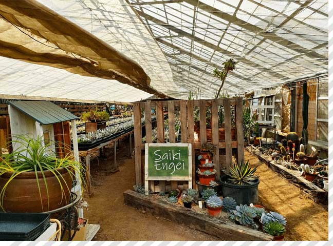 Saiki Engei外観の写真