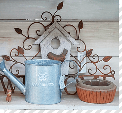 多肉植物の器の写真