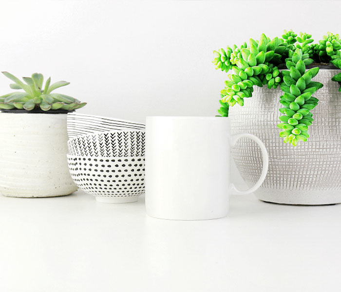 「取り扱い商品」多肉植物の器の画像